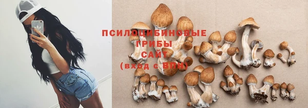 ПСИЛОЦИБИНОВЫЕ ГРИБЫ Билибино
