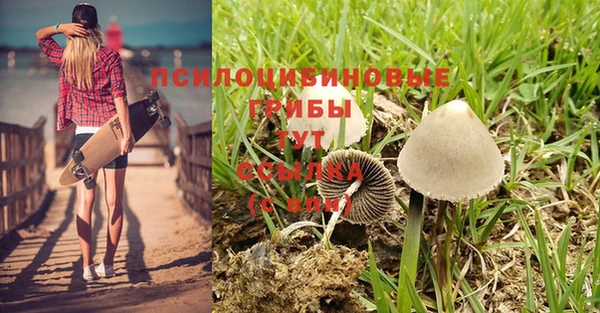 трава Нефтекумск