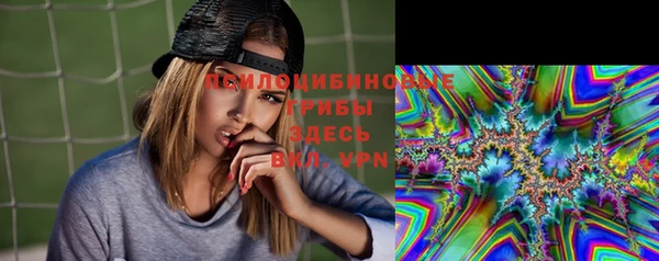 крисы Новозыбков
